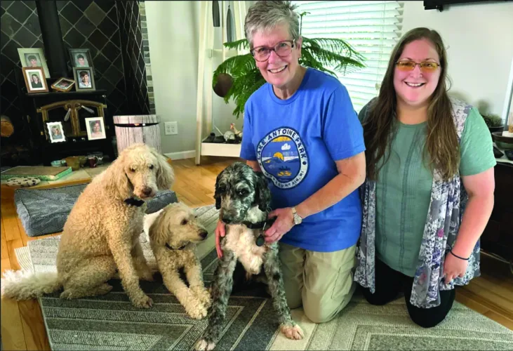 The search for Stella
